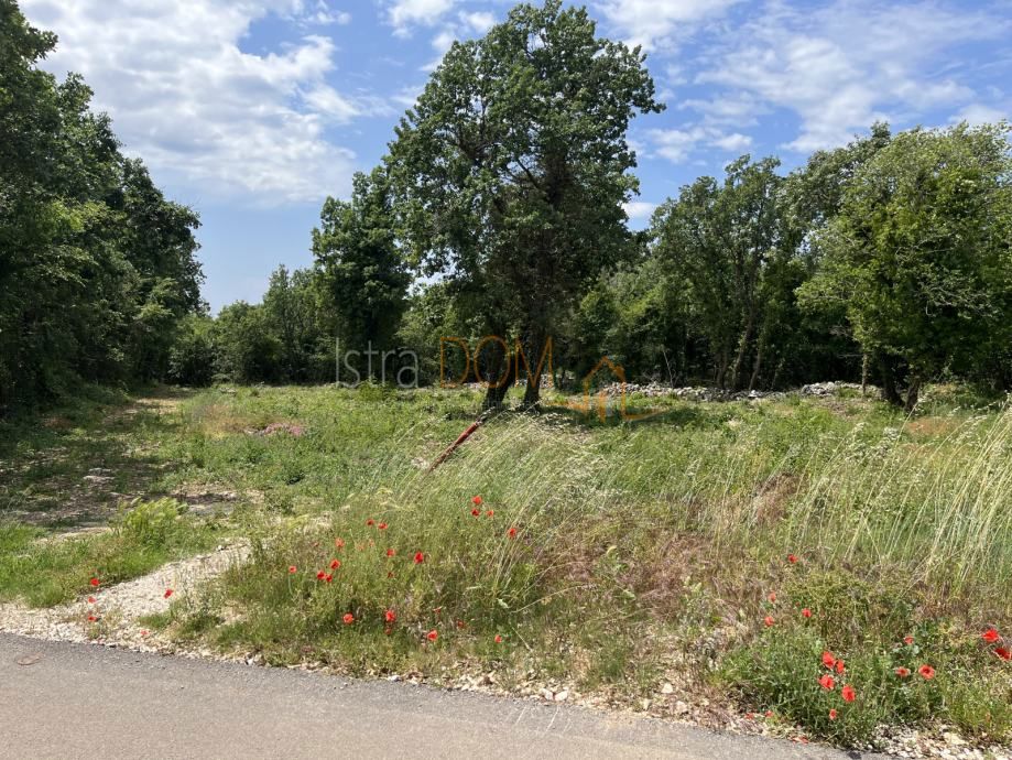 Terrain À vendre - Istarska Sveti Lovreč - foto 1/4