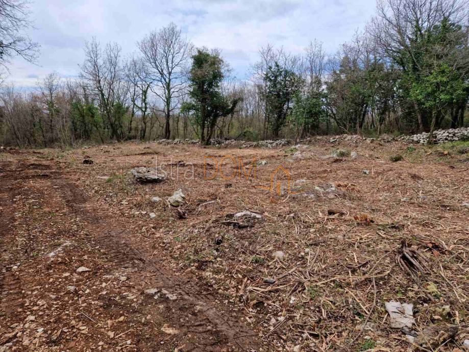 Terrain À vendre - Istarska Sveti Lovreč - foto 4/4