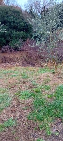Grundstück Zu verkaufen - Istarska Ližnjan - foto 2/2