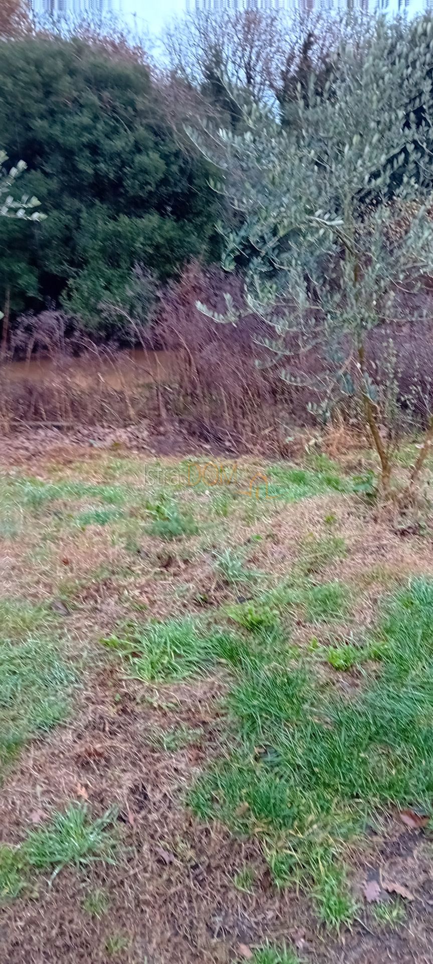 Grundstück Zu verkaufen - Istarska Ližnjan - foto 2/2