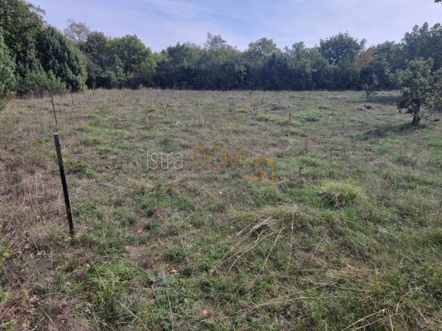 Terreno in vendita 10120 m² – Svetvinčenat