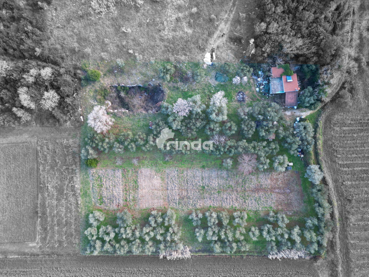Dům Na prodej - ISTARSKA ROVINJ