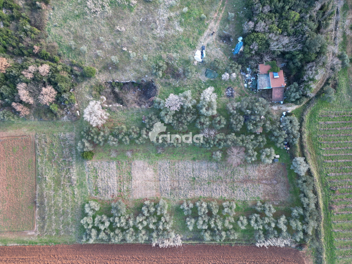 Dům Na prodej - ISTARSKA ROVINJ