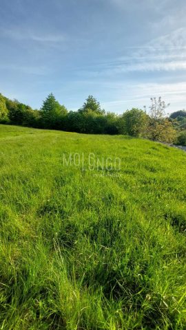Pozemok na predaj 6739 m² – Vrbovsko