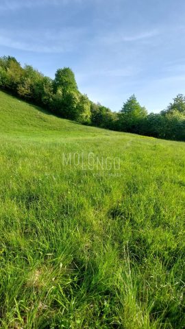 Land For sale - Primorsko-goranska Vrbovsko - foto 3/6