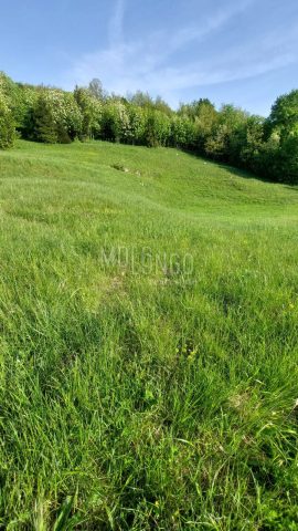 Land For sale - Primorsko-goranska Vrbovsko - foto 5/6