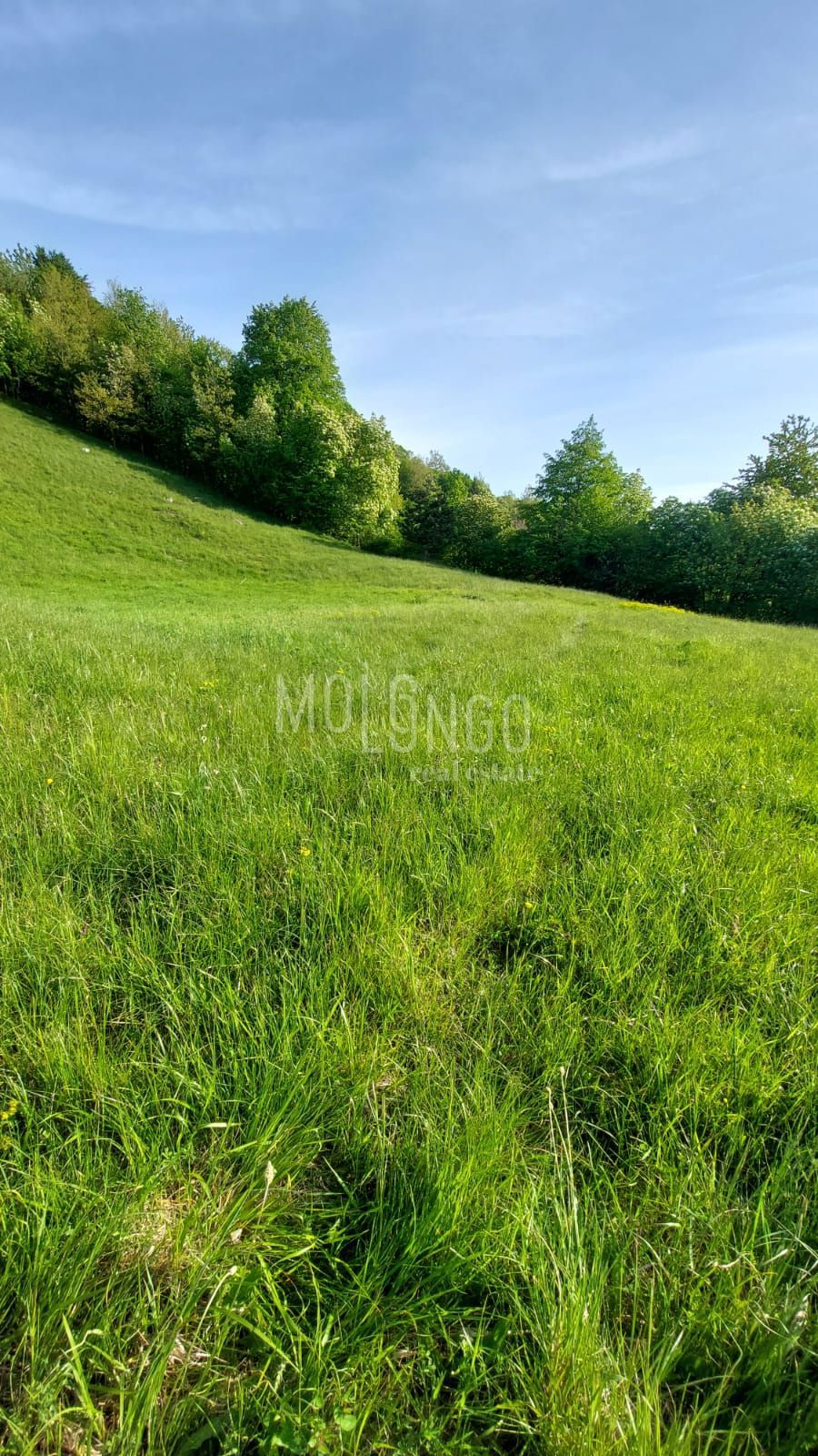 Terreno In vendita - PRIMORSKO-GORANSKA VRBOVSKO