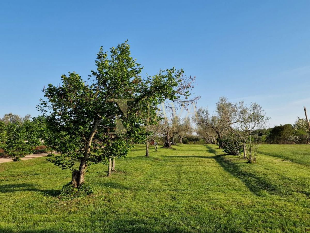 Haus Zu verkaufen - ISTARSKA UMAG
