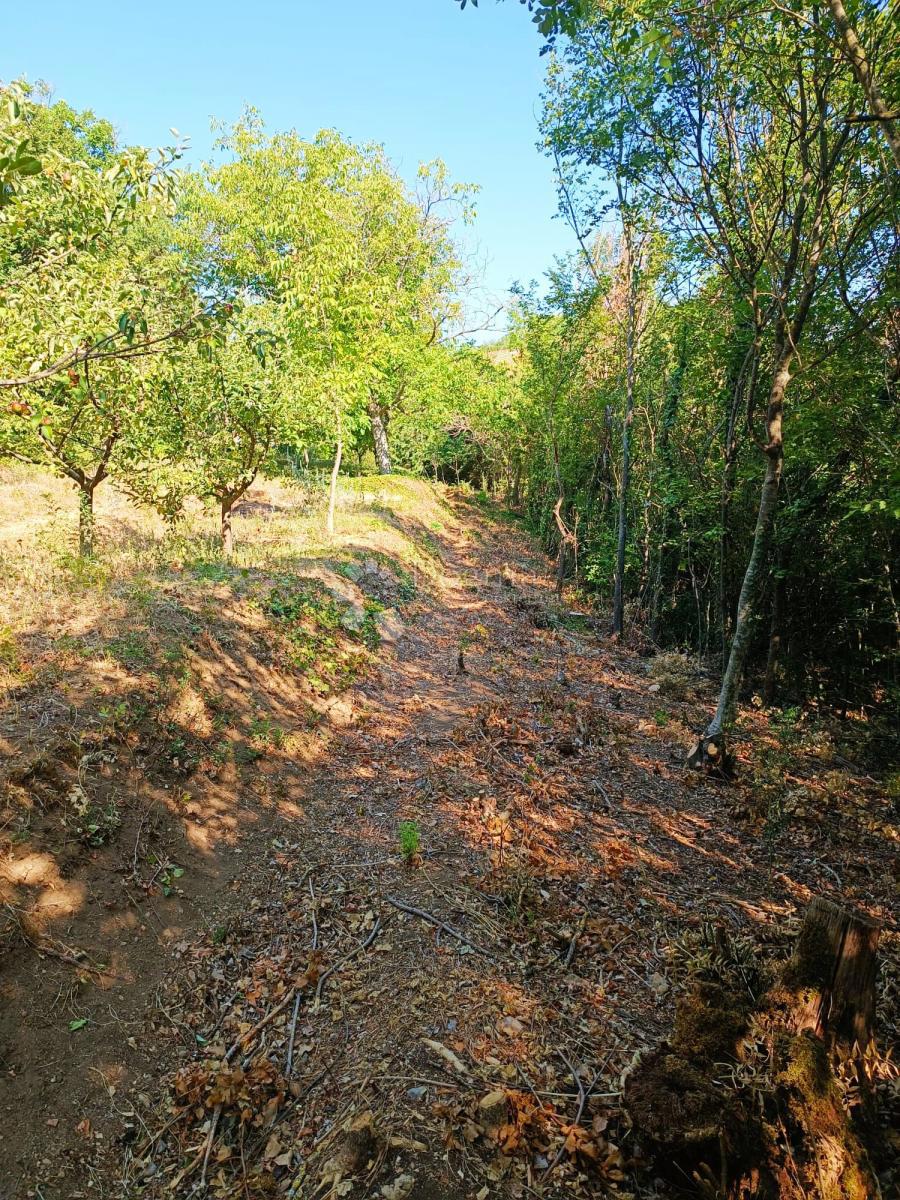 Dom Na predaj - Splitsko-dalmatinska Sinj - foto 5/11