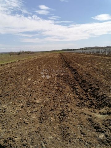 Land for sale 16094 m² – Benkovac
