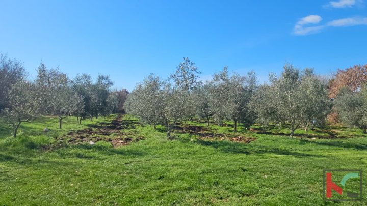 Land For sale - Istarska Svetvinčenat - foto 3/14