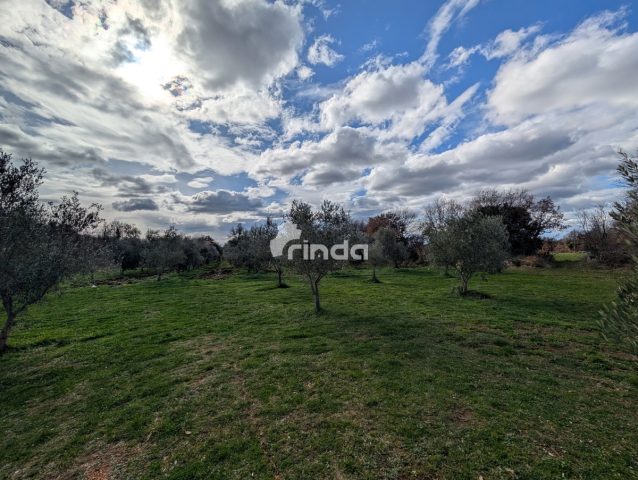 Dom Na predaj - Istarska Svetvinčenat - foto 2/22