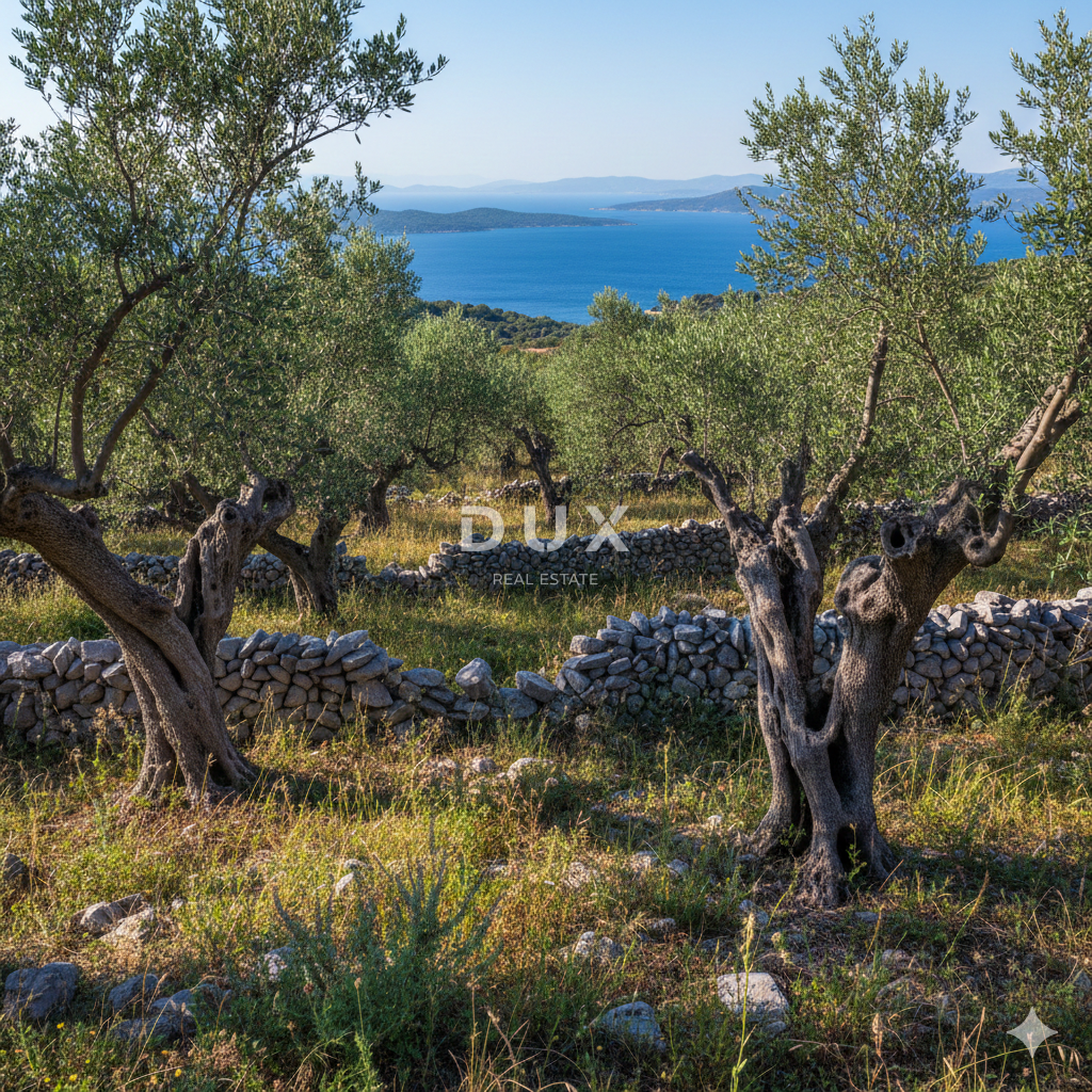 Land For sale - Zadarska Ugljan - foto 1/2