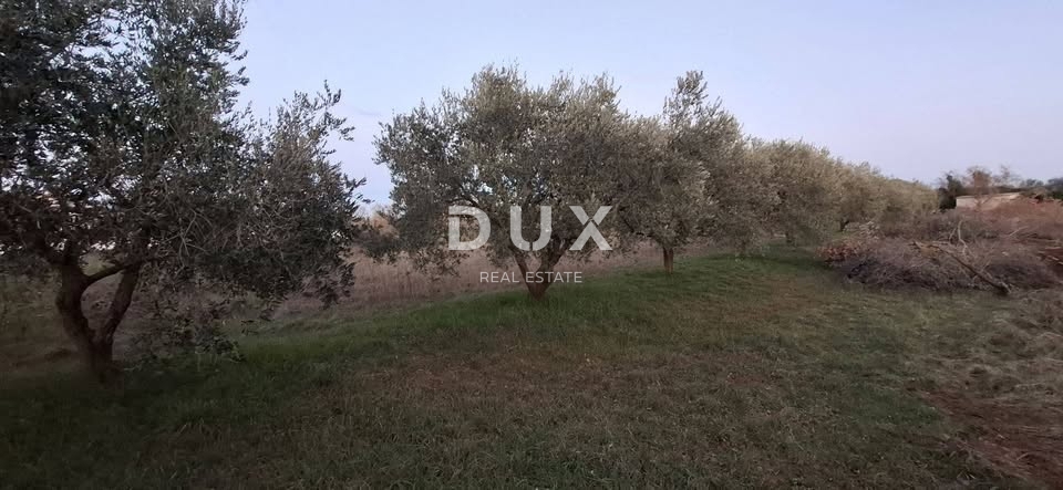Land For sale - ISTARSKA VODNJAN