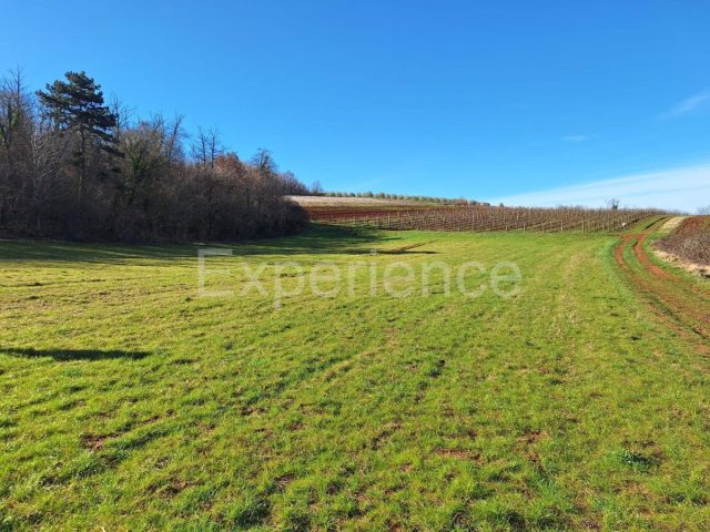 Land for sale 4100 m² – Vižinada