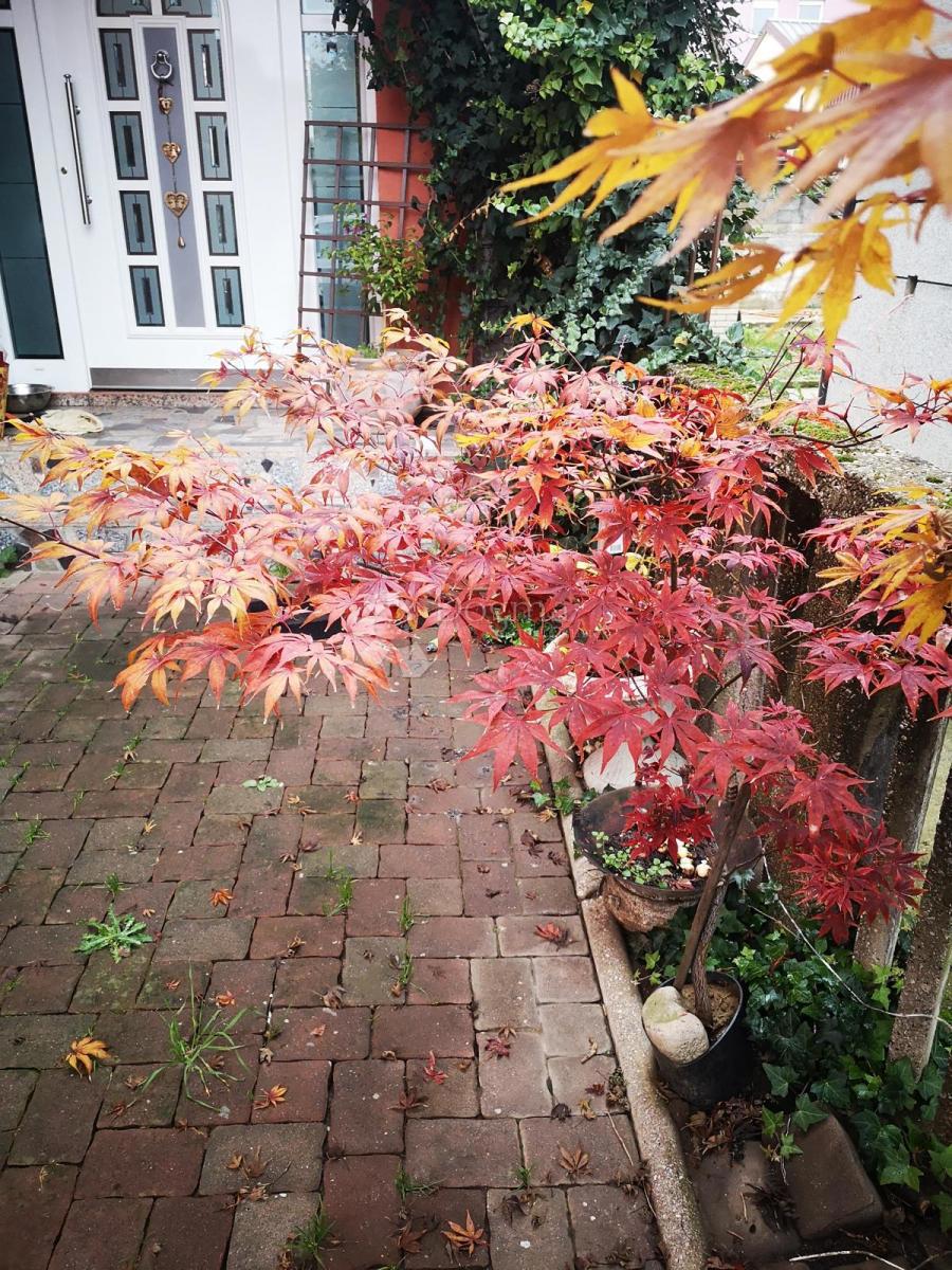 House For sale - GRAD ZAGREB ZAGREB