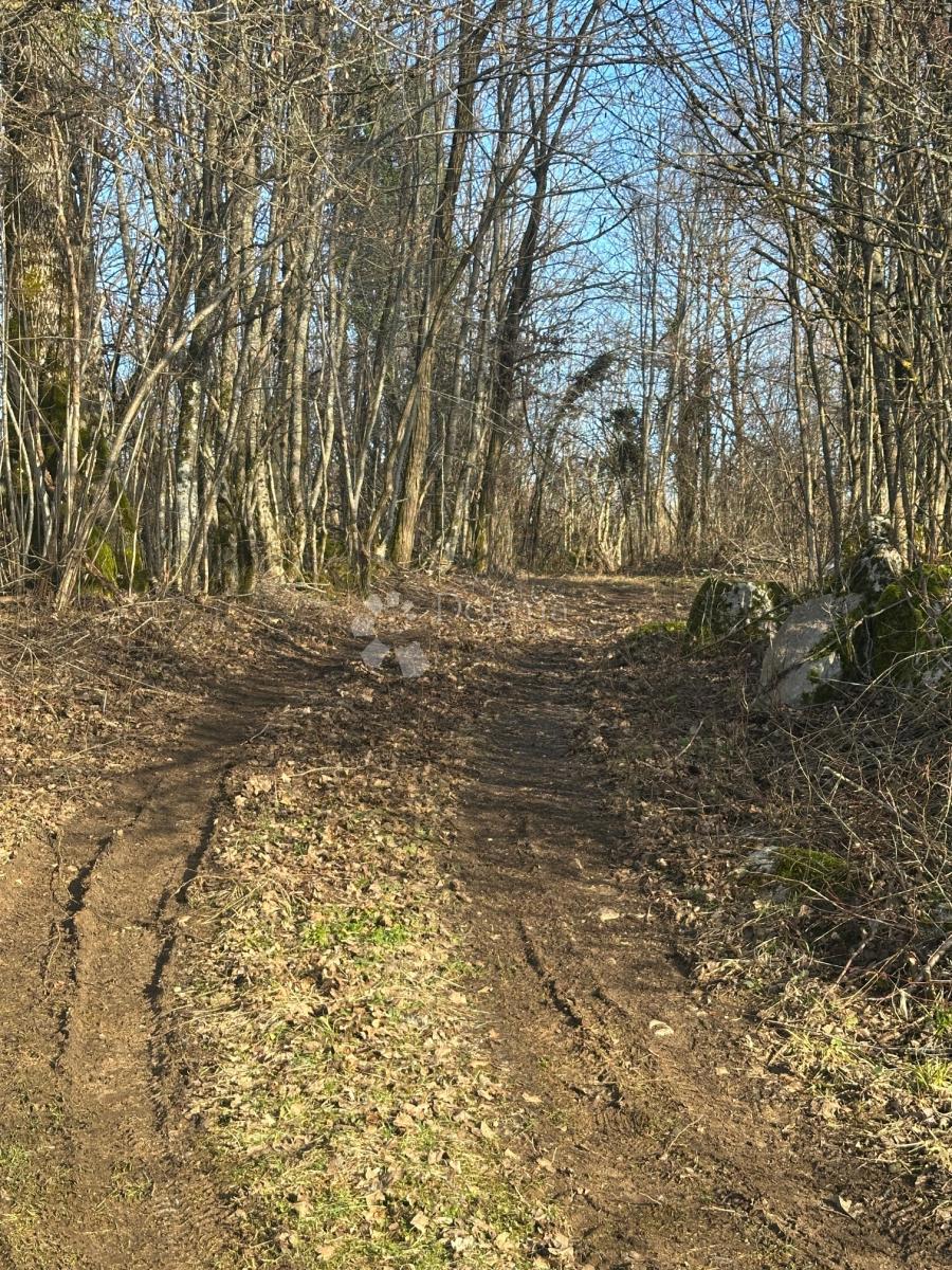 Dům Na prodej - LIČKO-SENJSKA GOSPIĆ