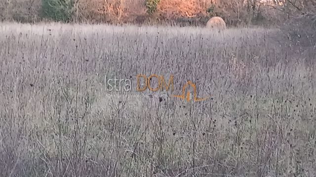 Parcela Naprodaj - Istarska Marčana - foto 3/3