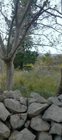Parcela Naprodaj - Zadarska Starigrad - foto 5/24