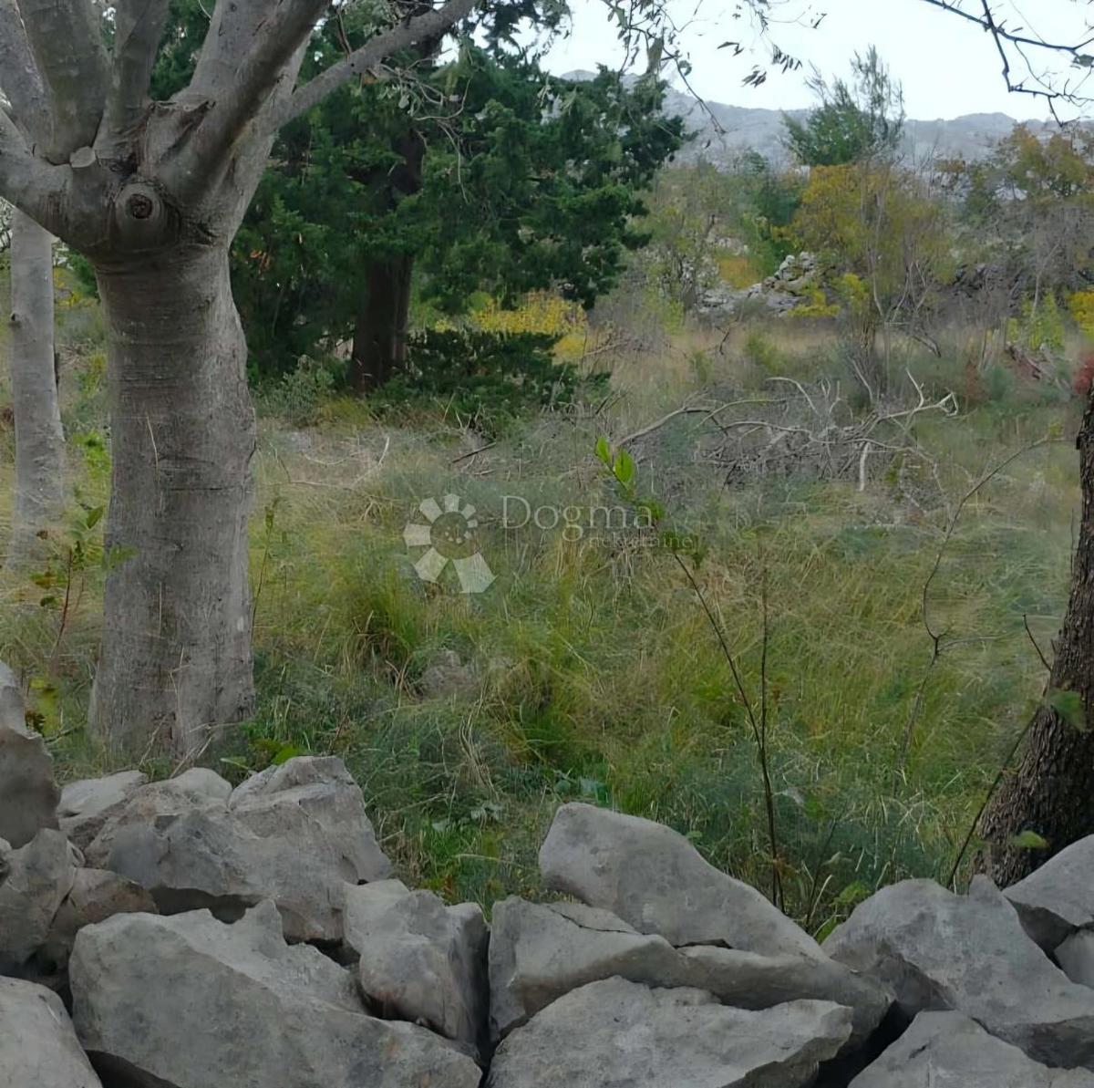 Land For sale - ZADARSKA STARIGRAD