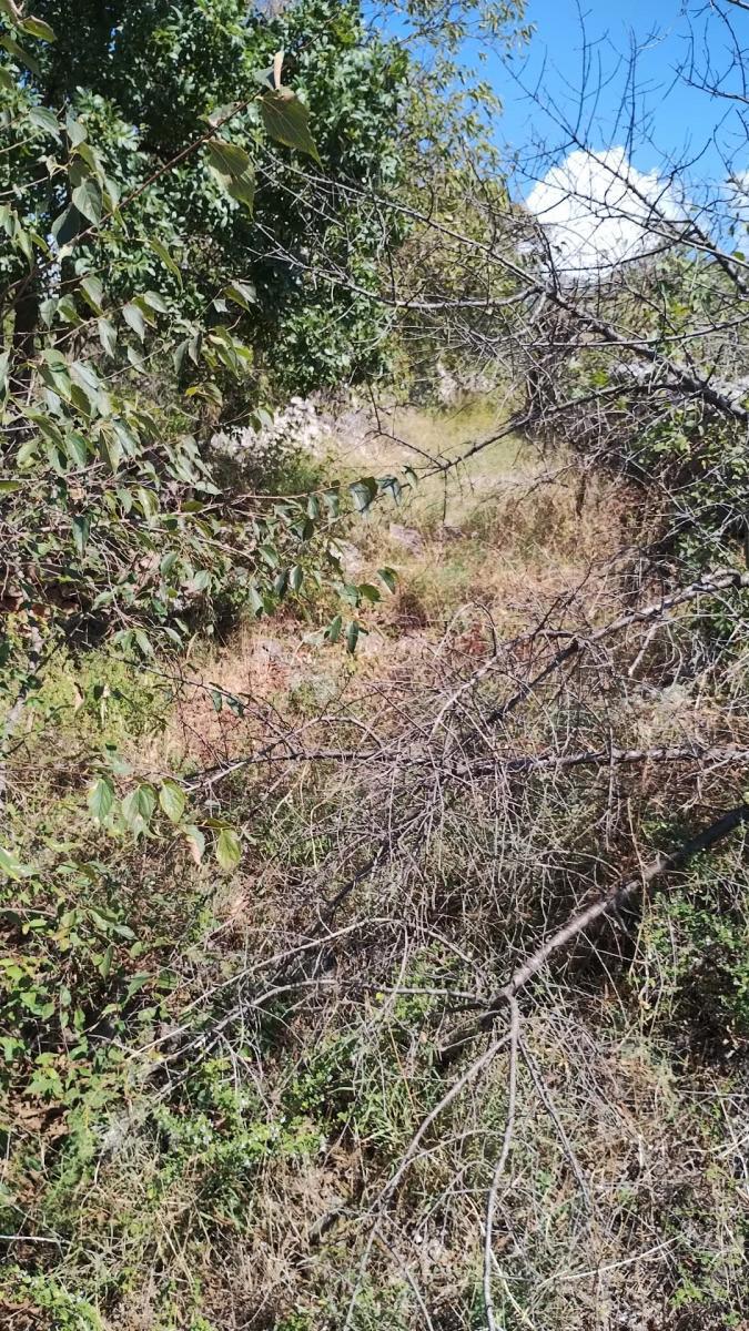 Land For sale - ZADARSKA STARIGRAD