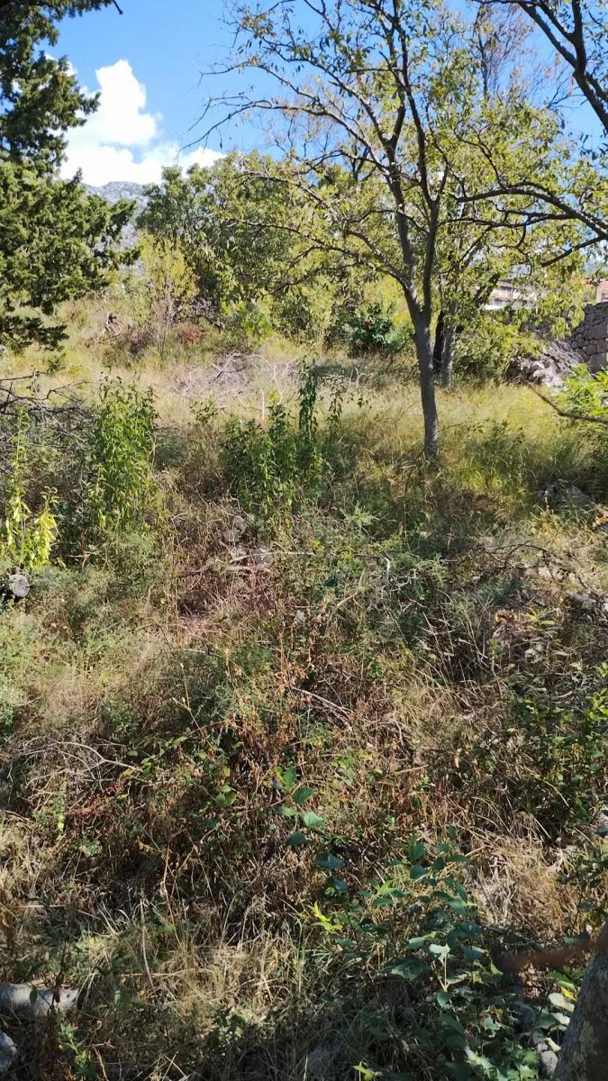 Land For sale - ZADARSKA STARIGRAD
