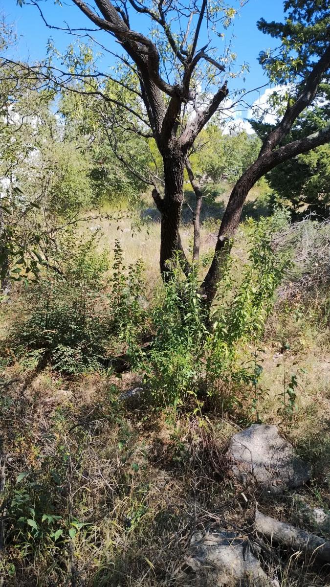 Land For sale - ZADARSKA STARIGRAD