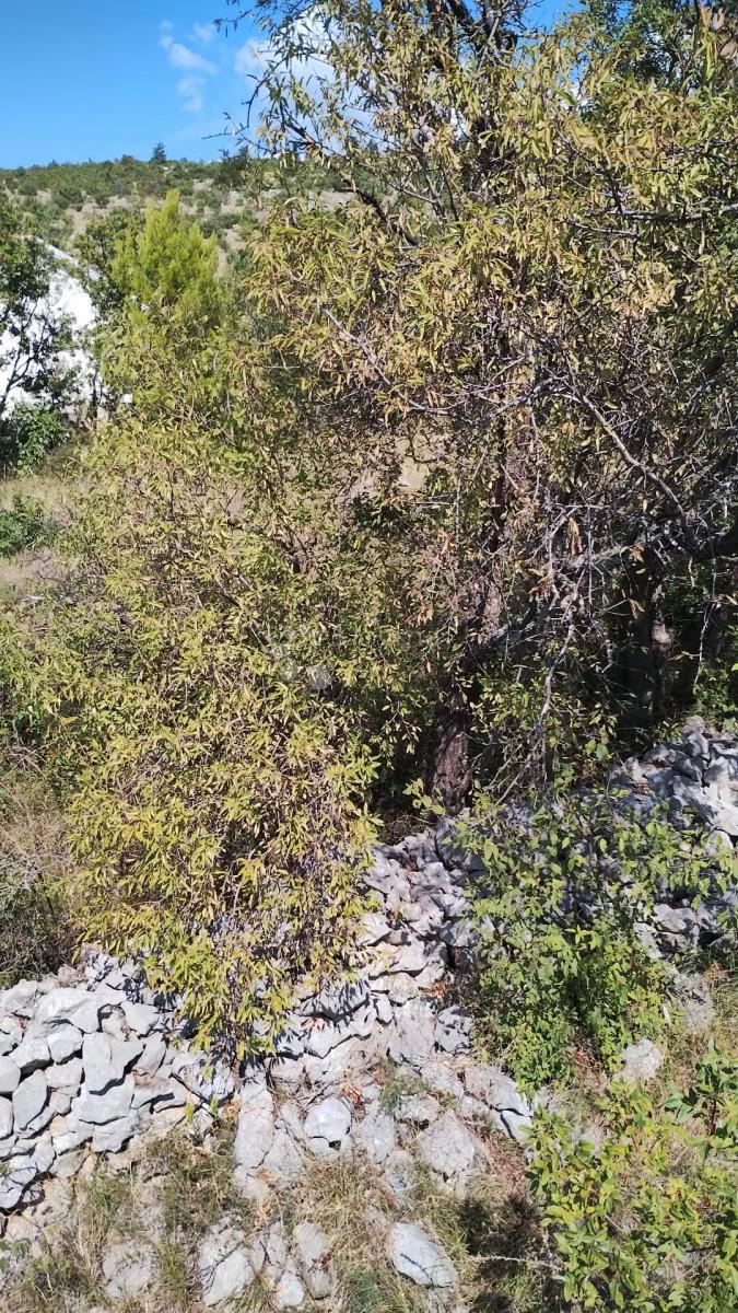 Land For sale - ZADARSKA STARIGRAD