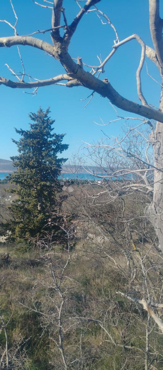 Land For sale - ZADARSKA STARIGRAD