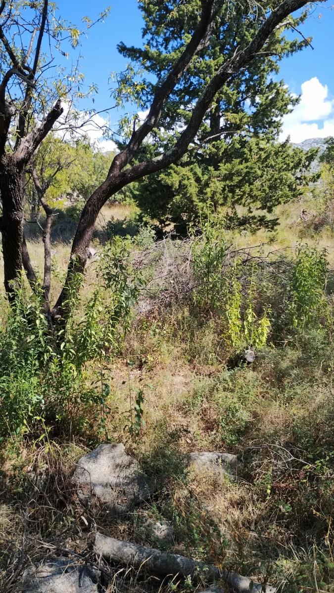 Land For sale - ZADARSKA STARIGRAD
