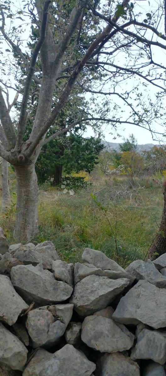 Land For sale - ZADARSKA STARIGRAD