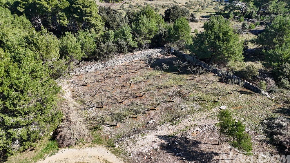 Land For sale - Zadarska Vir - foto 3/7