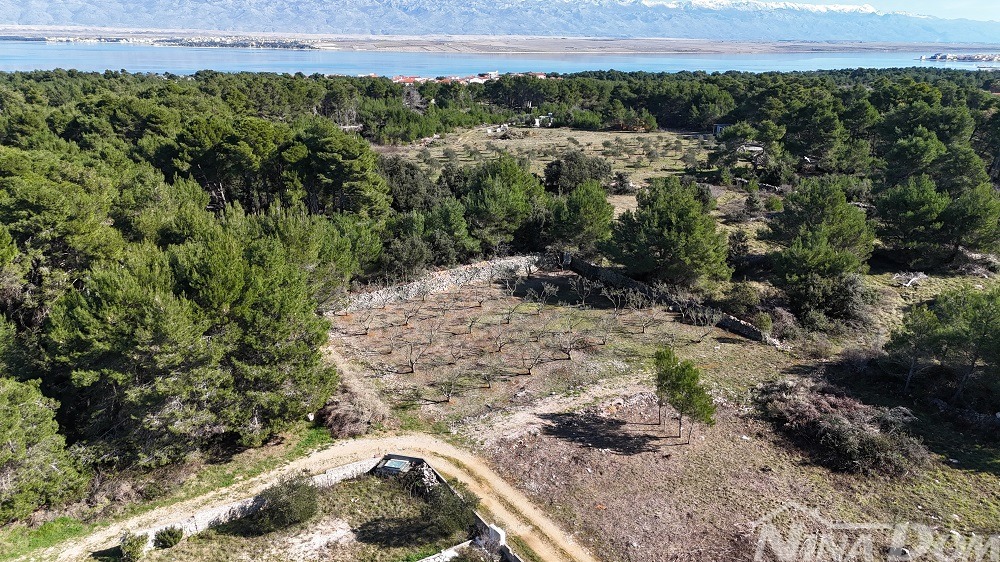 Land For sale - Zadarska Vir - foto 4/7