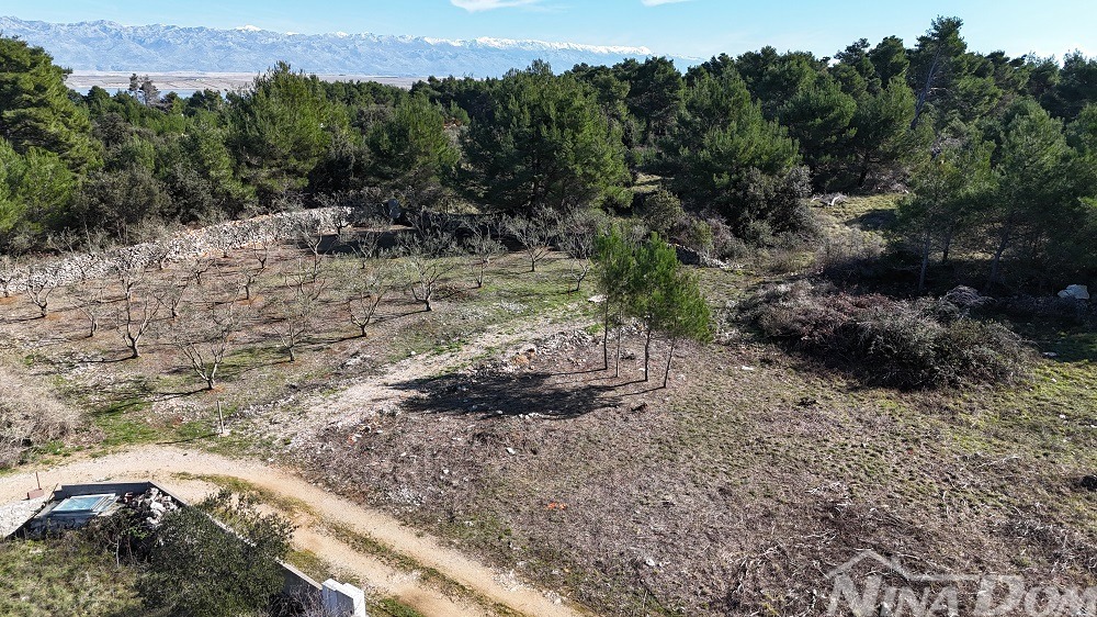 Land For sale - Zadarska Vir - foto 5/7