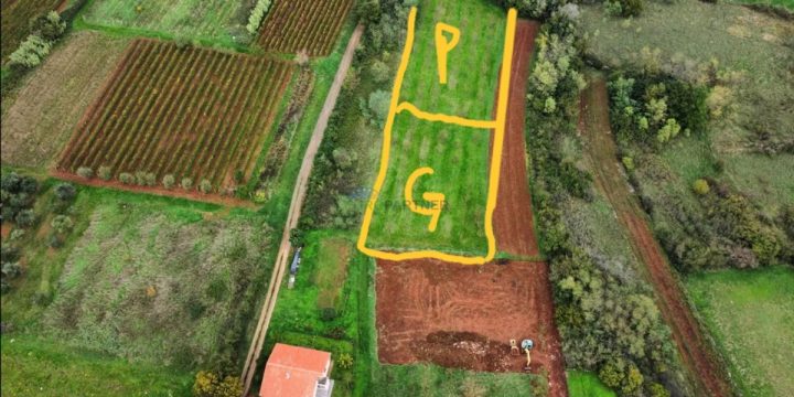 Land for sale 3006 m² – Vižinada