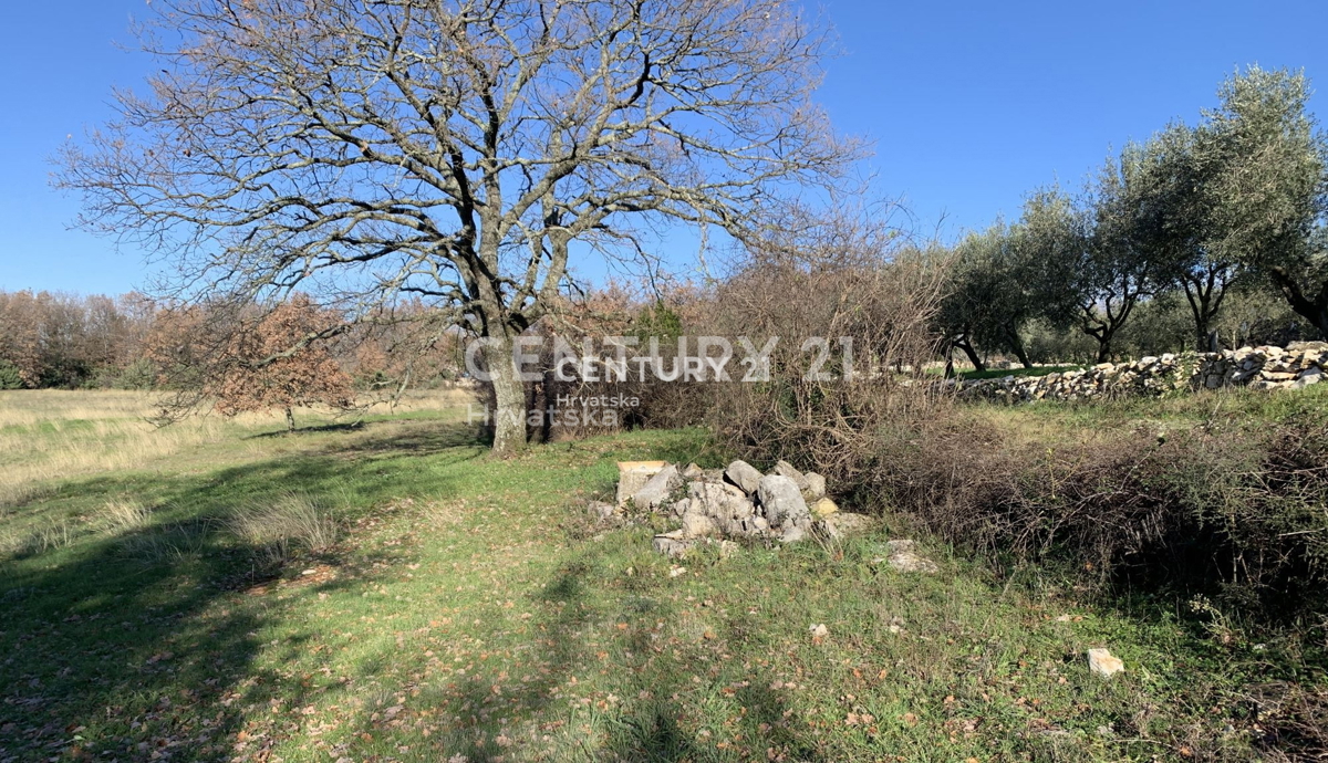 Parcela Na predaj - Istarska Sveti Lovreč - foto 2/10