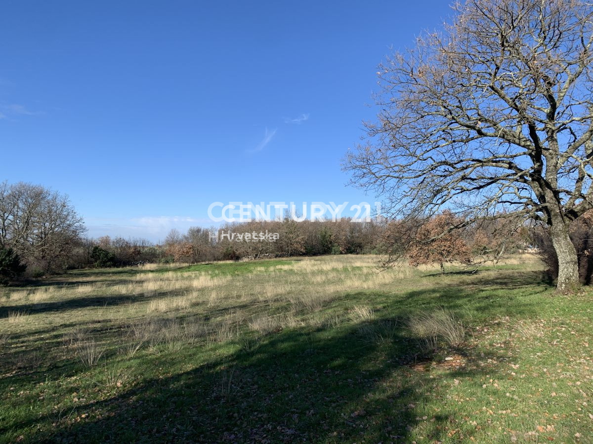 Parcela Na predaj - ISTARSKA SVETI LOVREČ