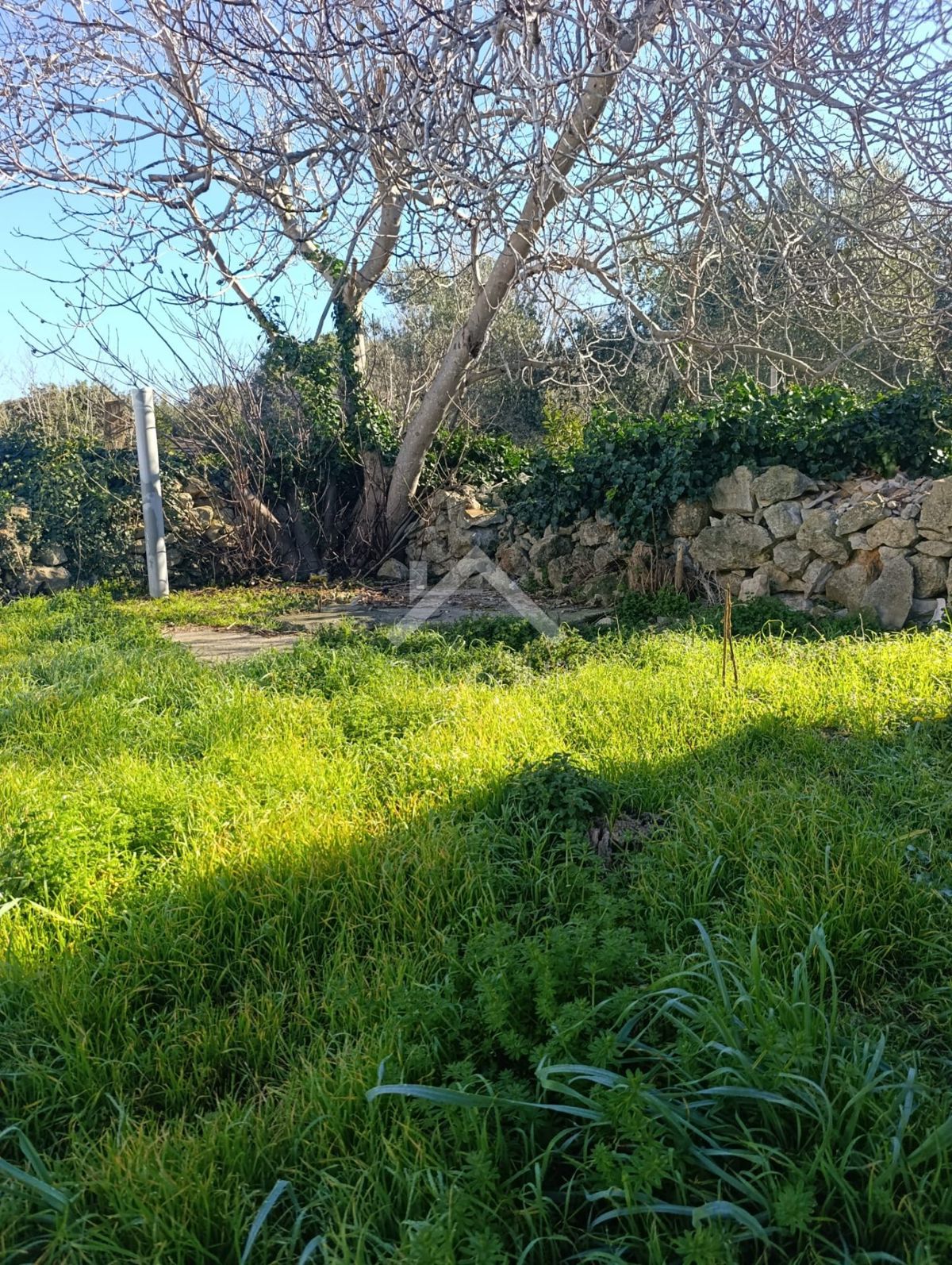 House For sale - ZADARSKA VIR