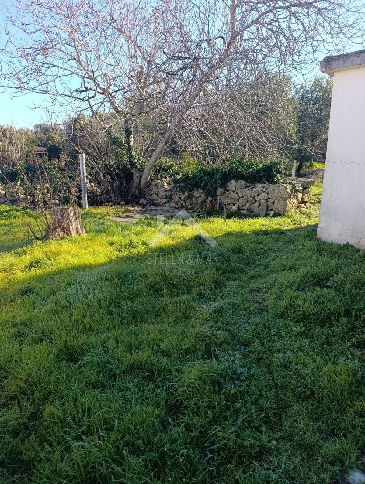 House For sale - ZADARSKA VIR