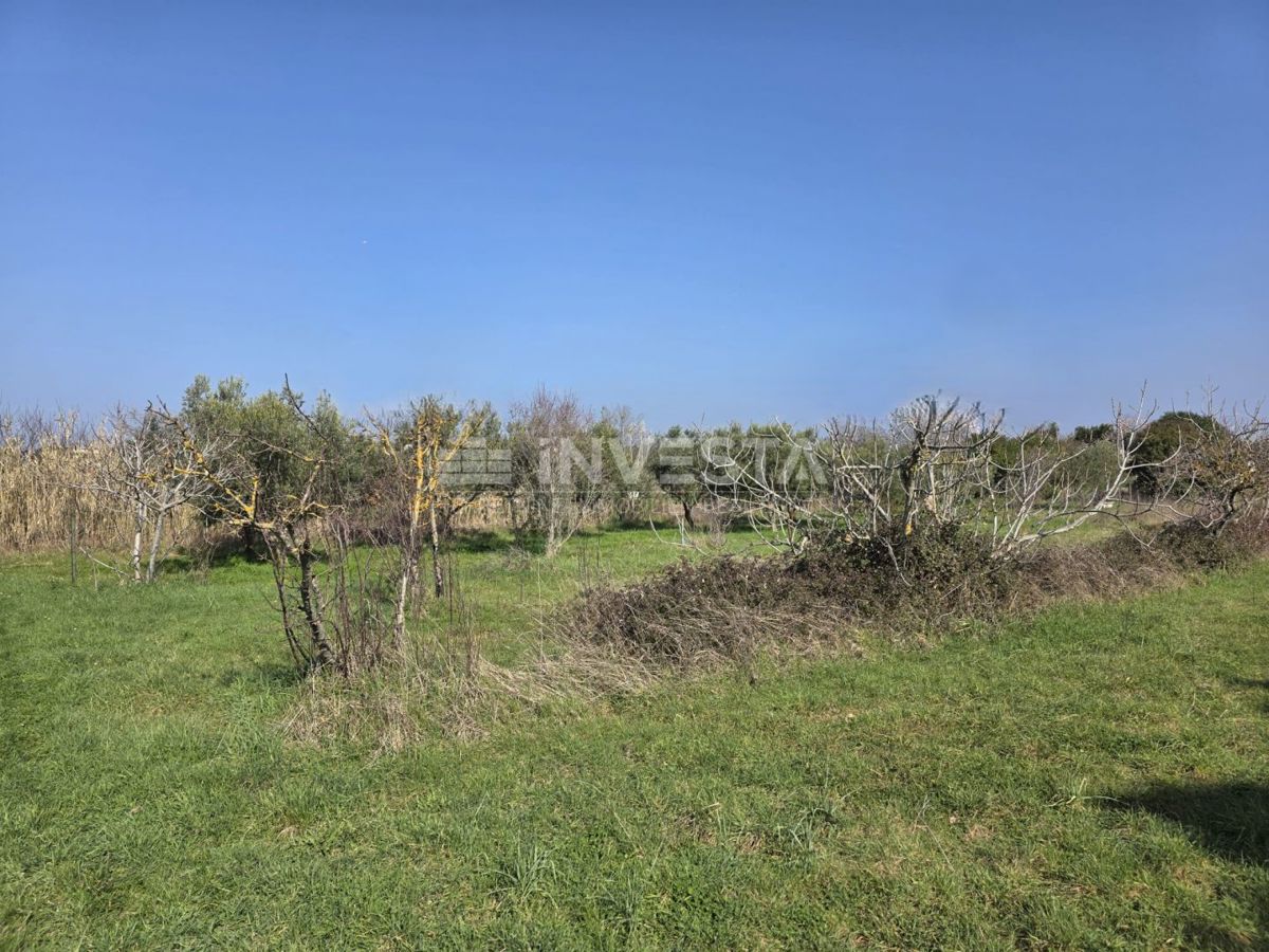 Pozemek Na prodej - ISTARSKA FAŽANA