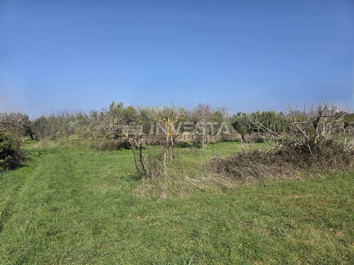 Pozemek Na prodej - ISTARSKA FAŽANA