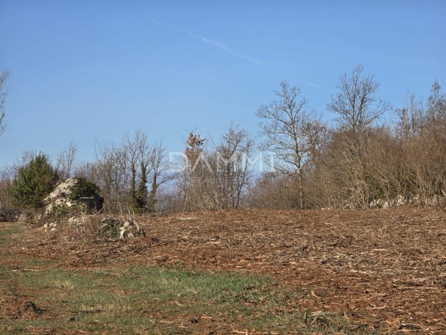 Pozemok na predaj 10361 m² – Svetvinčenat