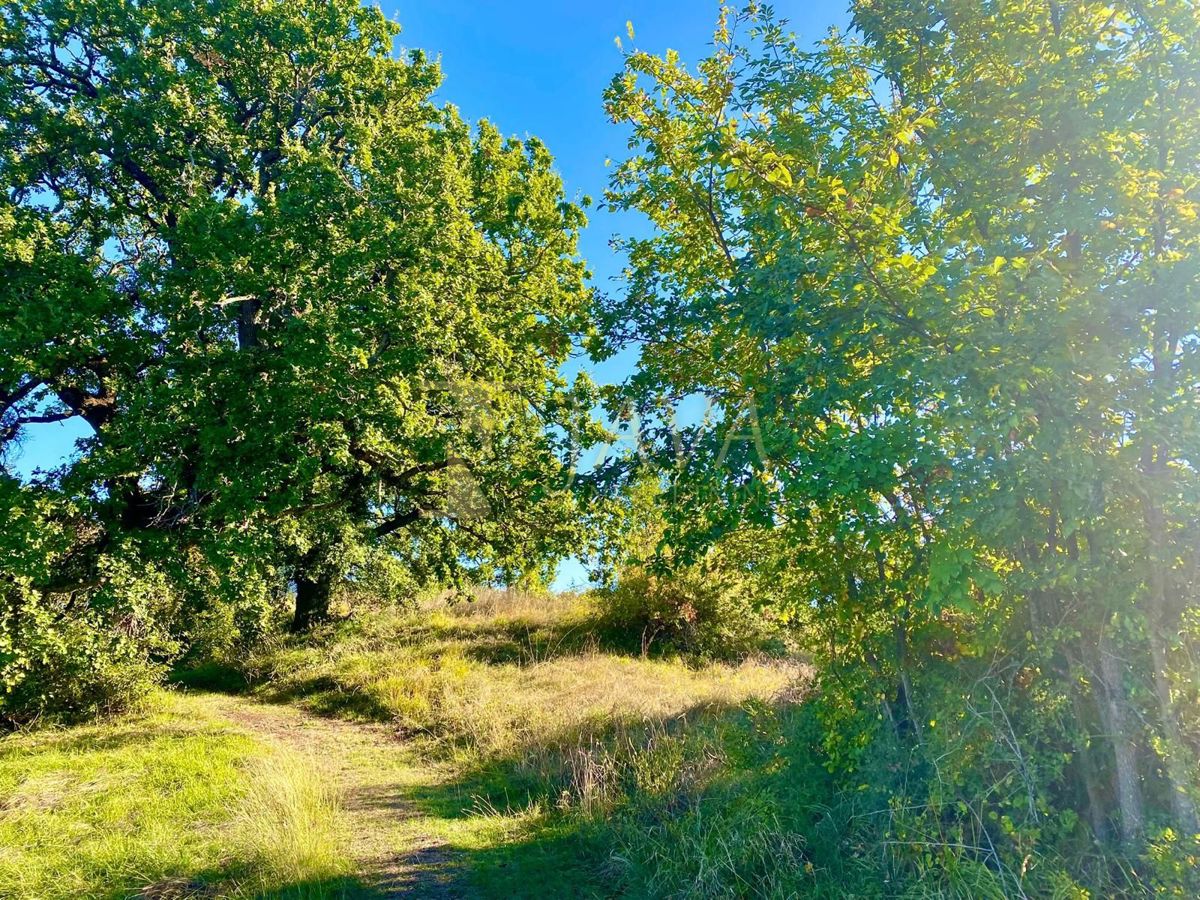 Kuća Na prodaju - ISTARSKA CEROVLJE
