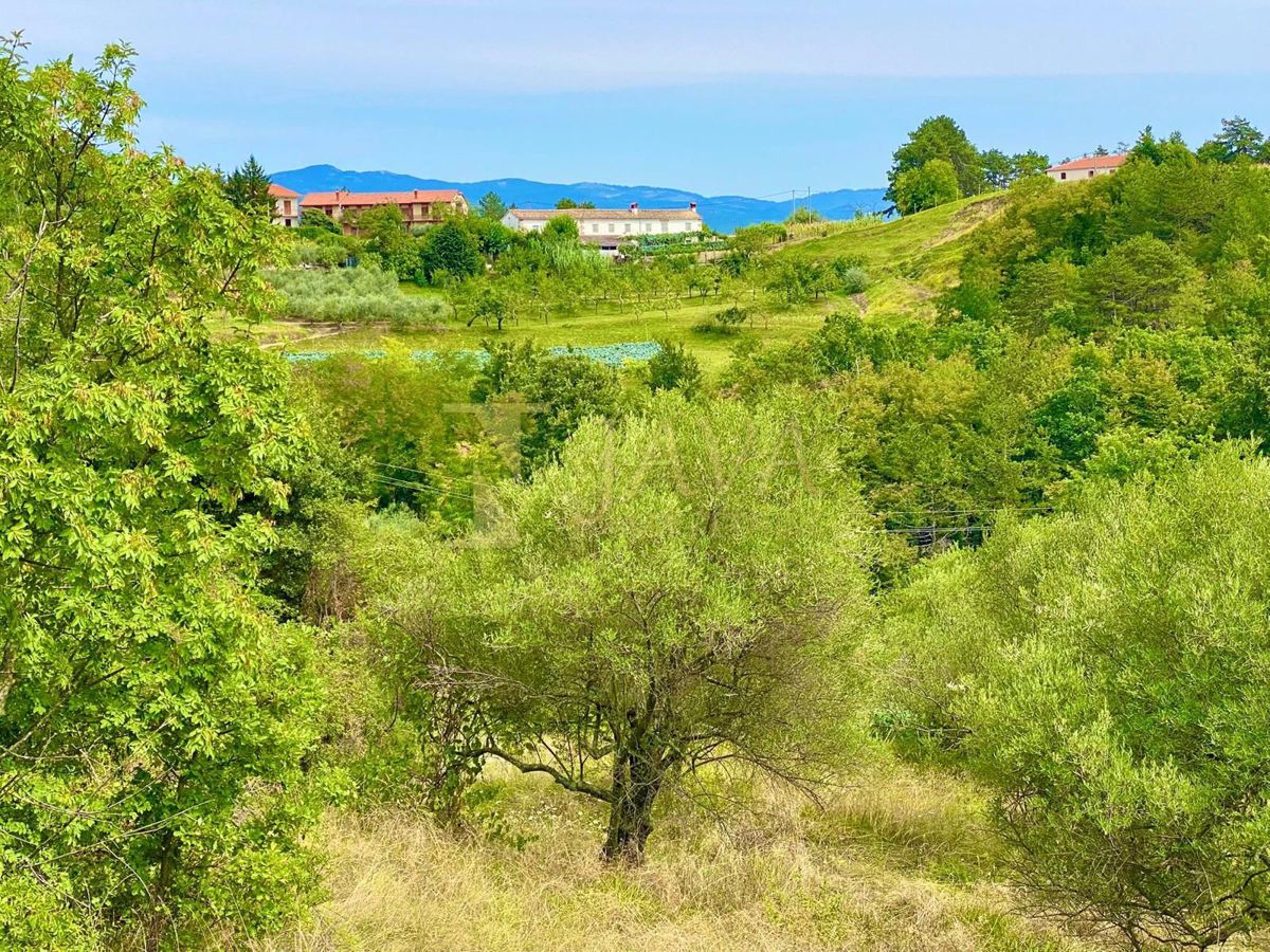Parcela Na predaj - ISTARSKA CEROVLJE