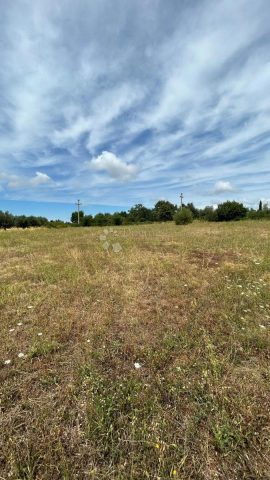 Terrain À vendre - Istarska Sveti Lovreč - foto 5/6