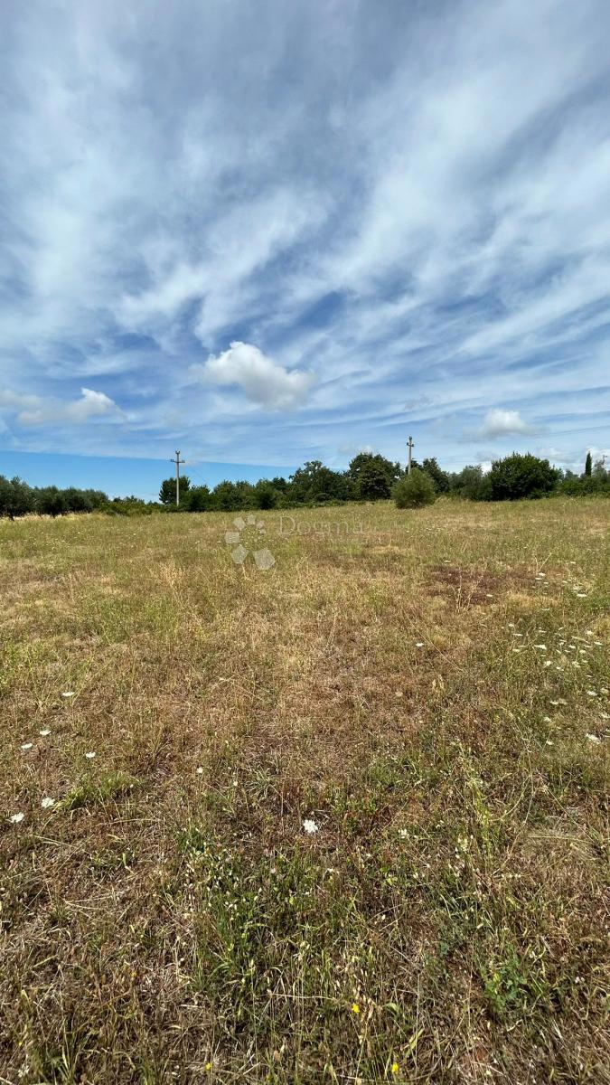 Terreno In vendita - ISTARSKA SVETI LOVREČ