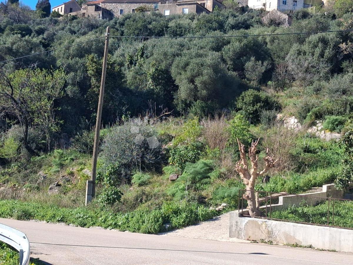 Pozemek Na prodej - DUBROVAČKO-NERETVANSKA KORČULA