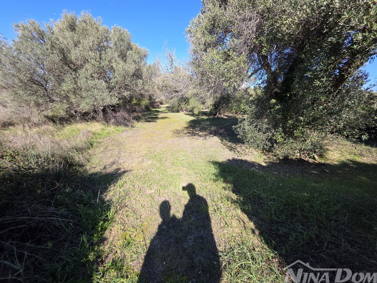 Terrain À vendre - Zadarska Zadar - foto 4/4