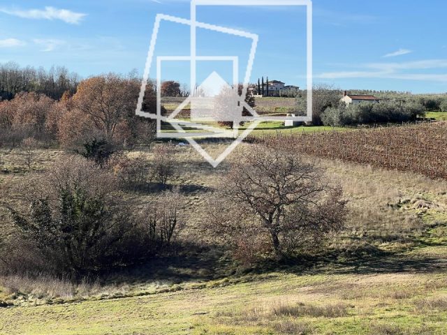 Land for sale 10000 m² – Vižinada