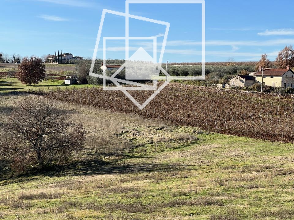 Land For sale - ISTARSKA VIŽINADA